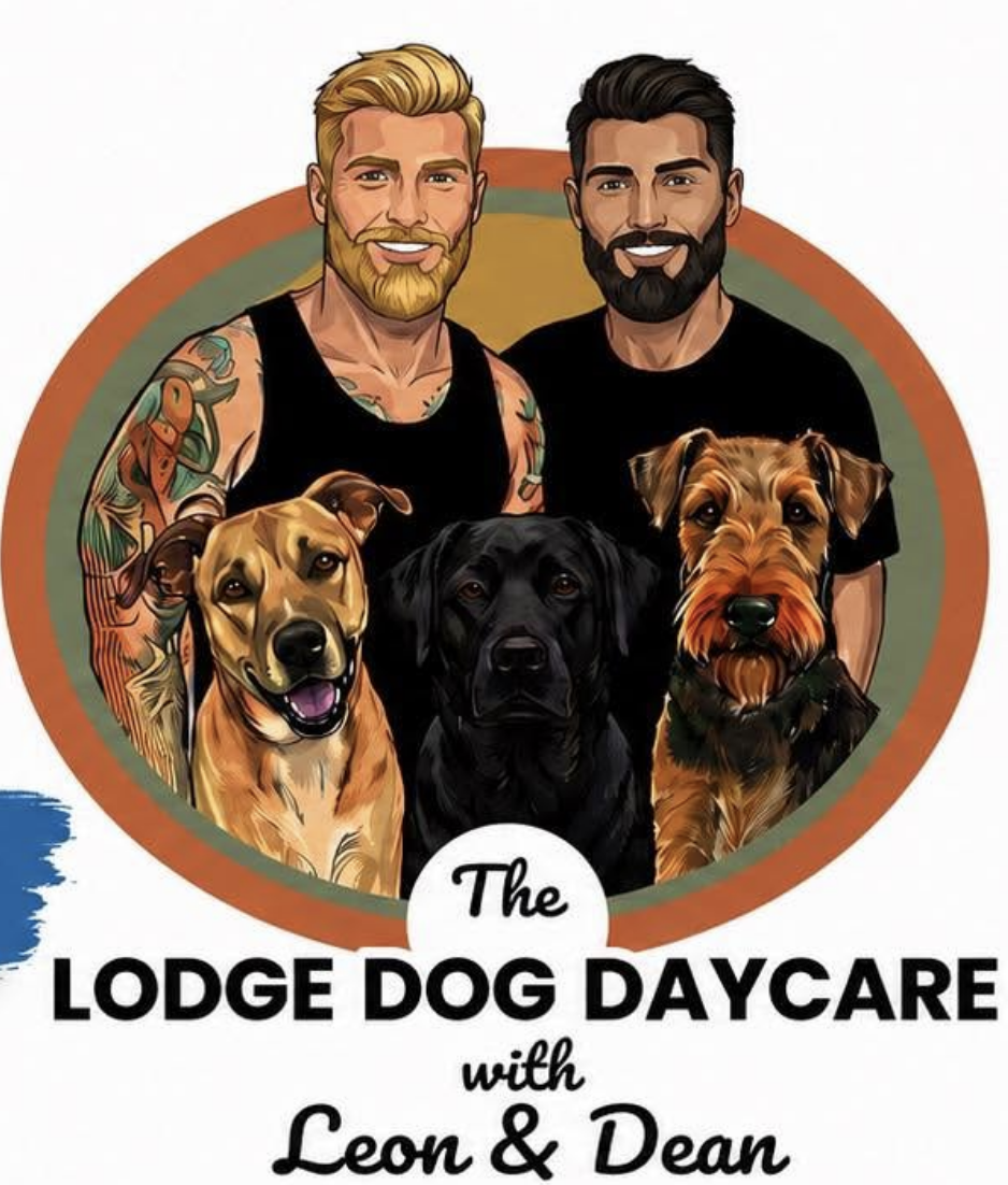 1 to 1 Dog Behavioural Consultantion