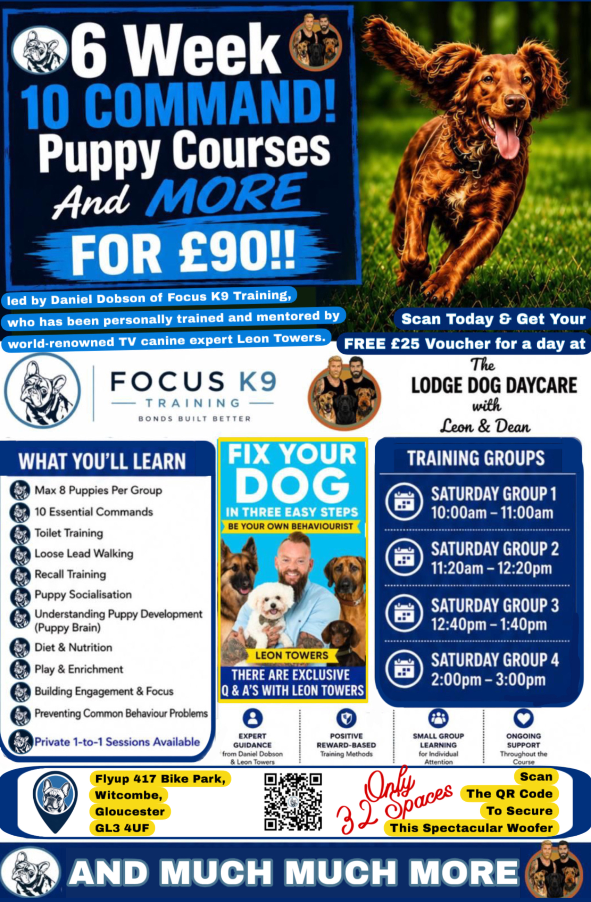 1 to 1 Puppy Training